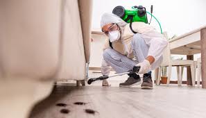 Best Pest Exclusion Services  in Seis Lagos, TX